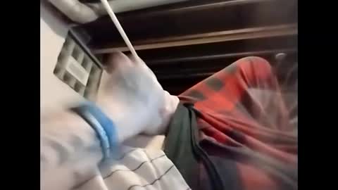 spundaddyandprincess online show from December 4, 2024, 6:00 am