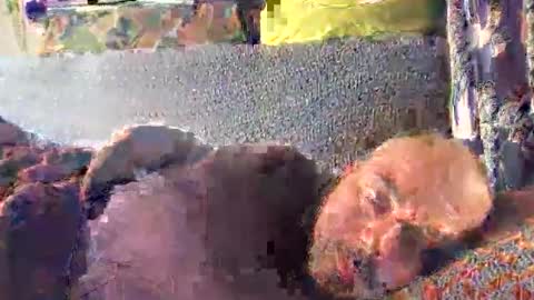 Snapshot of srekos38 chatting on October 10, 2025, 12:37 pm srekos38 online show from October 10, 2025, 12:37 pm