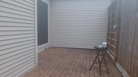 Snapshot of srtxshow chatting on March 3, 2025, 11:24 pm srtxshow online show from March 3, 2025, 11:24 pm