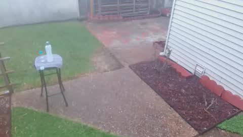 srtxshow online show from March 8, 2026, 10:13 pm