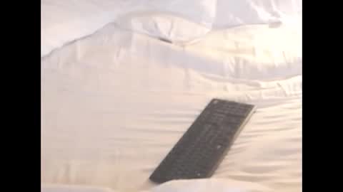 Snapshot of st8llion chatting on November 8, 2025, 2:12 am st8llion online show from November 8, 2025, 2:12 am