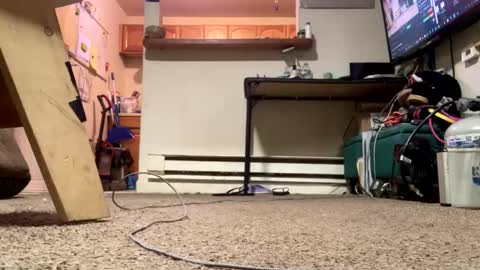 Submissive Slut LOVES adoration online show from February 21, 2026, 4:41 pm