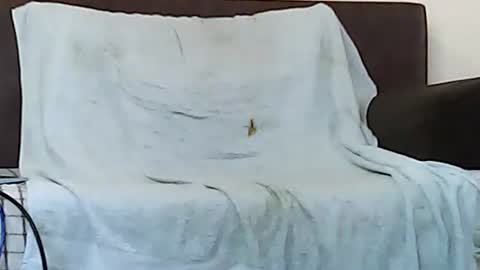 Snapshot of star0806666a chatting on November 6, 2025, 10:05 am star0806666a online show from November 6, 2025, 10:05 am