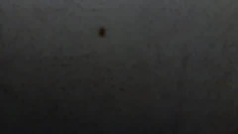 Snapshot of starguy600 chatting on January 11, 2026, 7:46 am starguy600 online show from January 11, 2026, 7:46 am