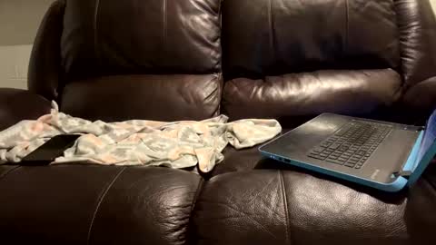 Snapshot of starr3095 chatting on January 9, 2025, 6:06 am starr3095 online show from January 9, 2025, 6:06 am