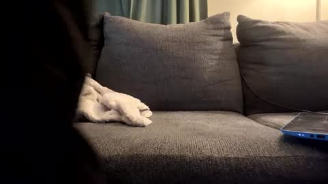 Snapshot of starr3095 chatting on September 17, 2025, 1:46 pm starr3095 online show from September 17, 2025, 1:46 pm