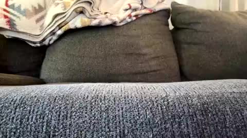 Snapshot of starr3095 chatting on November 4, 2025, 3:22 pm starr3095 online show from November 4, 2025, 3:22 pm