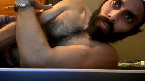 Lobo del Antiguo Oriente online show from April 22, 2026, 1:52 am