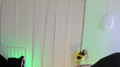 Snapshot of steffy_dan chatting on January 6, 2025, 6:58 am Steffy online show from January 6, 2025, 6:58 am