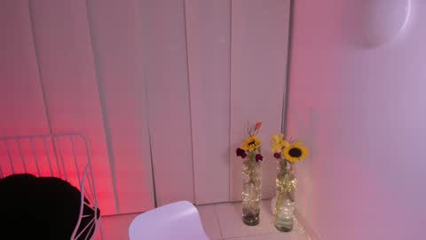 Snapshot of steffy_dan chatting on February 5, 2025, 3:34 am Steffy online show from February 5, 2025, 3:34 am