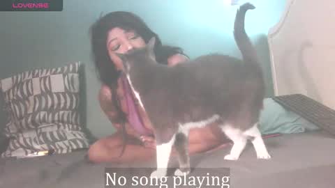 Stella Clitella online show from October 3, 2025, 11:40 am