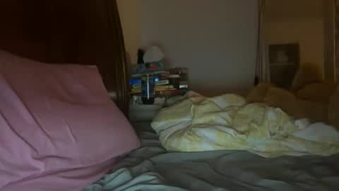 Snapshot of stellaangel chatting on October 26, 2025, 5:57 am stellaangel online show from October 26, 2025, 5:57 am