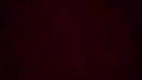 Stella Bella online show from August 6, 2026, 4:14 am