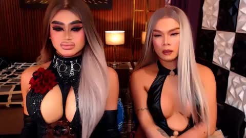 stellaperkins online show from June 3, 2026, 12:46 am