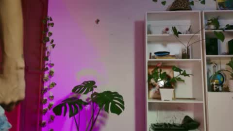 Snapshot of stellart_ chatting on November 20, 2025, 3:50 am stellart_ online show from November 20, 2025, 3:50 am