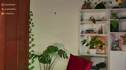 Snapshot of stellart_ chatting on November 30, 2025, 10:14 pm stellart_ online show from November 30, 2025, 10:14 pm