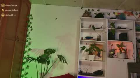 Snapshot of stellart_ chatting on December 3, 2025, 1:57 am stellart_ online show from December 3, 2025, 1:57 am