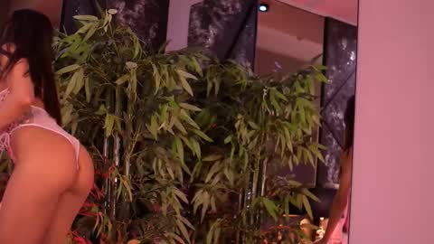 Steph online show from January 13, 2026, 8:08 am