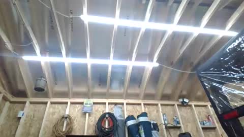 steved6001 online show from March 21, 2026, 7:50 pm