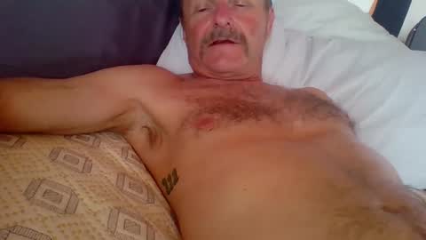 steviehard7 online show from October 2, 2025, 10:50 pm