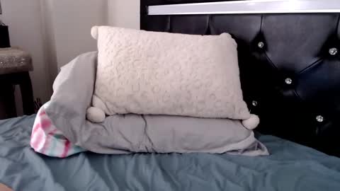 Snapshot of sticherella31 chatting on January 17, 2025, 6:54 pm Bonnie Naylor online show from January 17, 2025, 6:54 pm