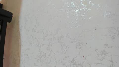 S T I V E N online show from February 17, 2026, 4:20 am