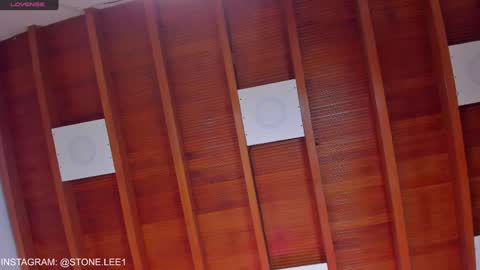 Stone Lee  online show from January 22, 2025, 1:53 pm