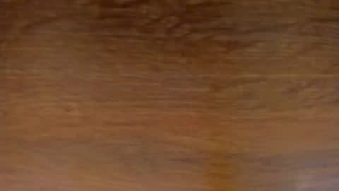 Stone Lee  online show from February 13, 2025, 11:50 am