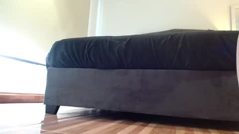 storm_hanks online show from January 7, 2026, 9:56 am