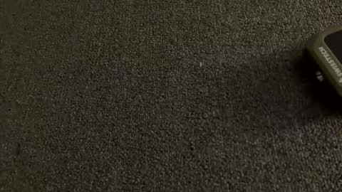 stout0818 online show from April 1, 2026, 10:27 am