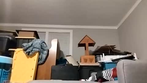 Streetwyze online show from October 23, 2025, 8:46 am