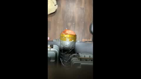 Snapshot of strokeafterdark chatting on November 13, 2025, 1:59 am strokeafterdark online show from November 13, 2025, 1:59 am