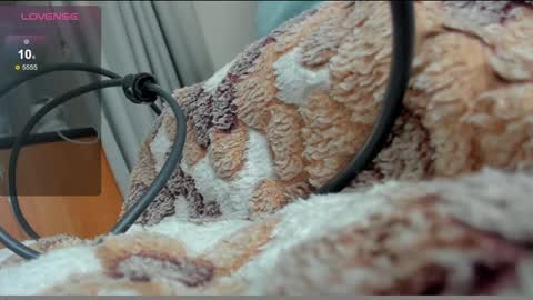 stupid little kitten online show from January 10, 2025, 12:15 pm