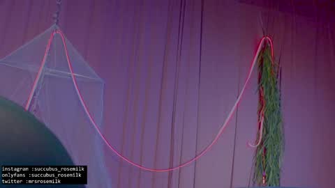 Snapshot of succubus_rosemilk chatting on January 27, 2025, 2:53 am Succubus RoseMilk online show from January 27, 2025, 2:53 am