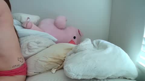 suerrab3304 online show from November 15, 2025, 6:48 pm