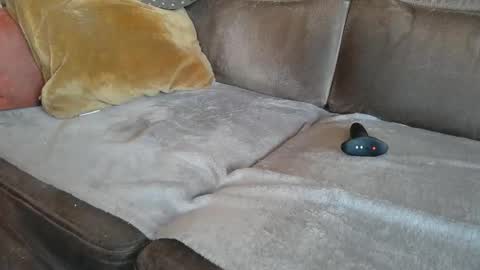 Snapshot of suessli chatting on October 22, 2025, 7:08 am Suessli online show from October 22, 2025, 7:08 am