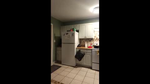 Sugarbotty31 online show from April 21, 2026, 2:51 am