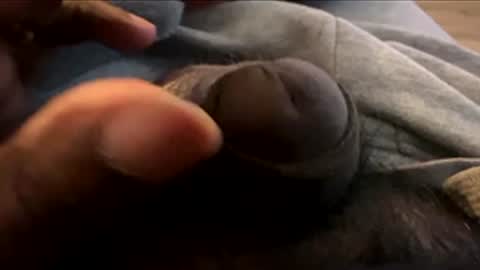 Let me be your knight that saves you online show from January 7, 2026, 8:55 pm