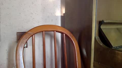 Snapshot of sumjang chatting on February 16, 2025, 8:33 pm Sumjang and Luksmen online show from February 16, 2025, 8:33 pm