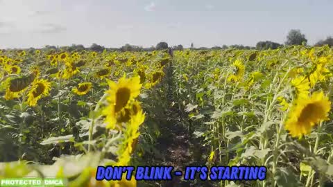 Tina. Im topless model  online show from February 5, 2026, 9:03 am