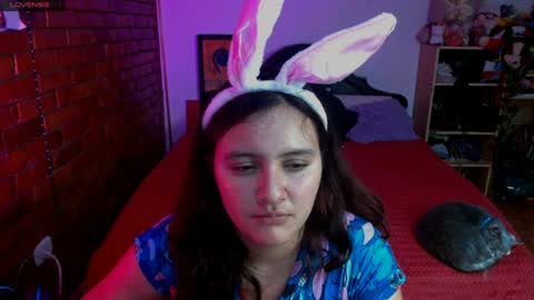 sunny online show from December 13, 2024, 7:47 am