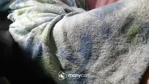 Snapshot of sunnybigboy88 chatting on November 6, 2025, 7:04 pm sven online show from November 6, 2025, 7:04 pm