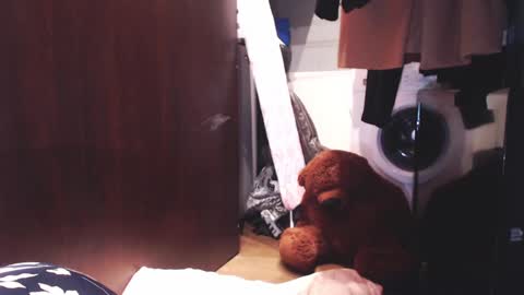 Snapshot of sunshinehella chatting on December 3, 2024, 7:10 am Hella online show from December 3, 2024, 7:10 am