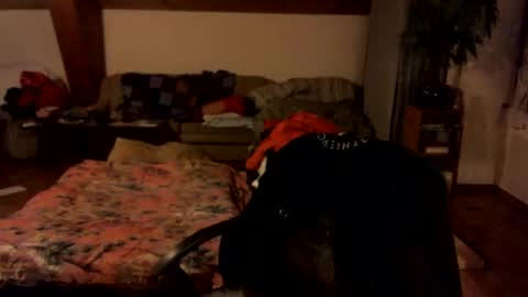 supersquirrel81 online show from February 17, 2026, 9:43 pm