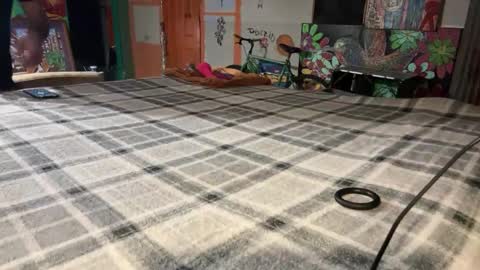 Snapshot of supremelifers chatting on December 2, 2024, 10:07 am Stony online show from December 2, 2024, 10:07 am