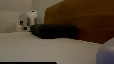 Snapshot of surfstar81 chatting on March 20, 2026, 9:19 pm surfstar81 online show from March 20, 2026, 9:19 pm