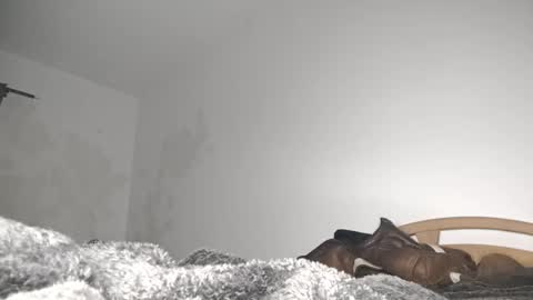 suzuki1250 online show from March 6, 2026, 9:06 am