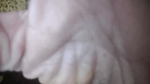 suzuki1250 online show from April 5, 2026, 7:27 am