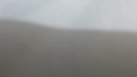 Snapshot of suzyblack4 chatting on February 17, 2026, 12:34 pm Suzy online show from February 17, 2026, 12:34 pm