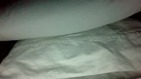 swampdonkey419 online show from February 19, 2025, 11:28 am